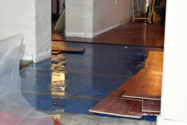 Professional Sewage Cleanup technician working in Thornton, NH